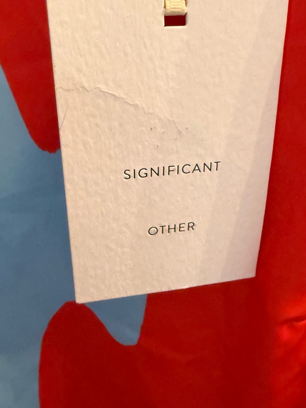 Blue & Red Abstract Long-Sleeve Mini Dress - Picture 5 of 5